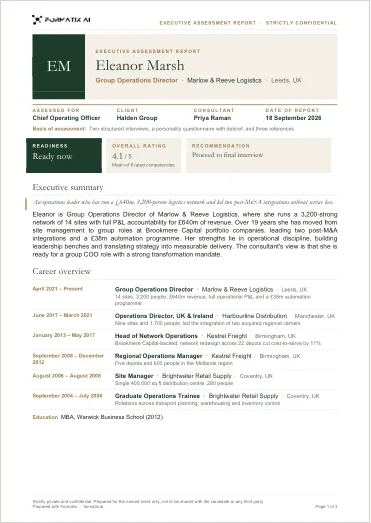 Executive assessment report in the Formatix brand