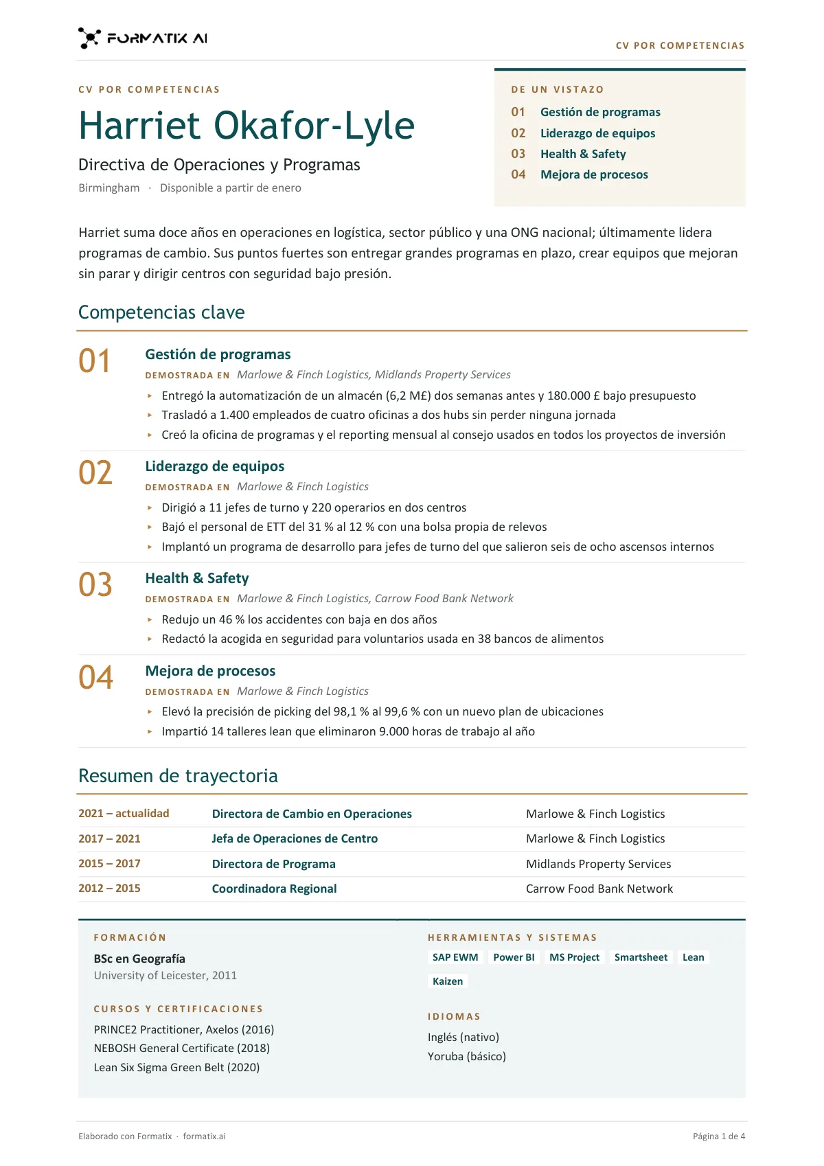 CV por competencias
