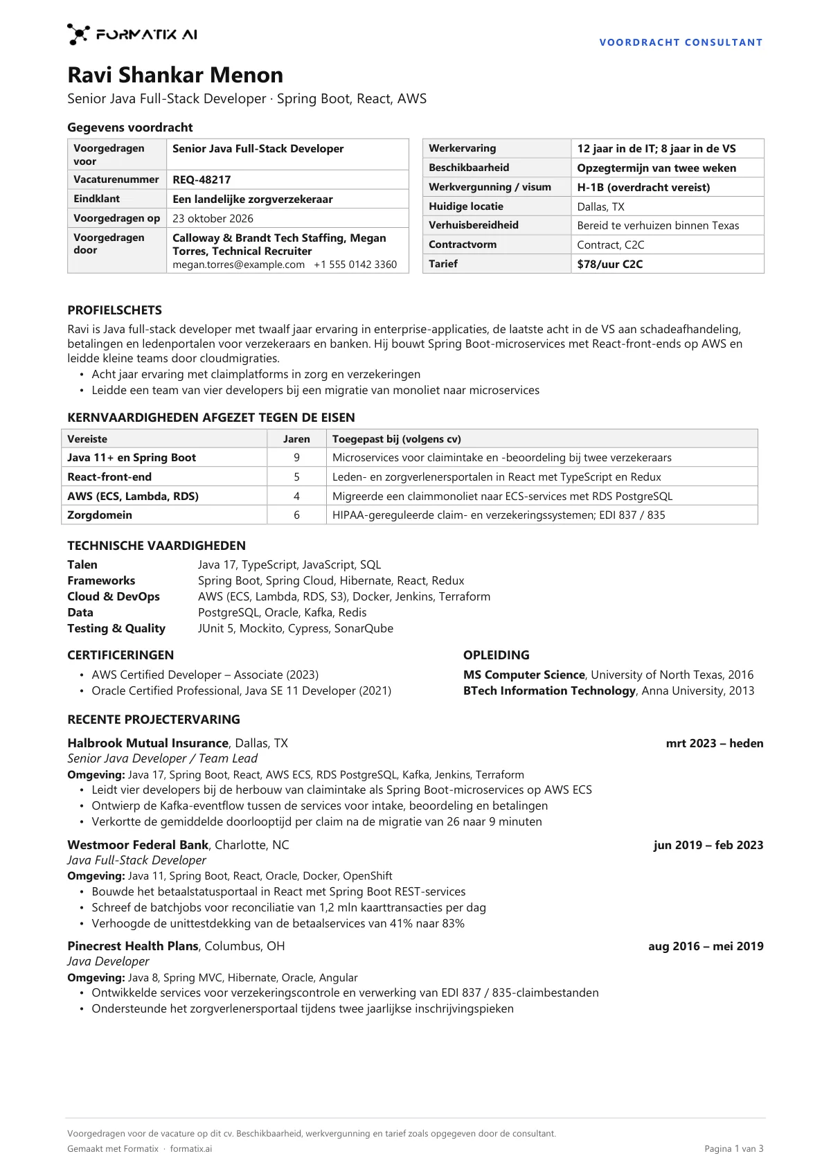 Cv voor het voorstellen van een IT-consultant
