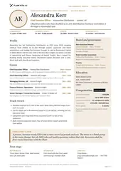 CEO candidate profile