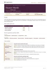 Consultant framework CV