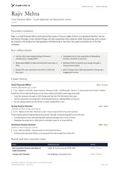 Executive CV, two pages