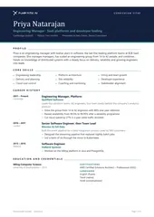 Modern CV, dark header