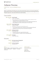 Timeline CV