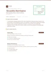 Interim Executive Profile